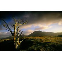 Alternate image for Kylemore Pass, Connemara Photographic Print