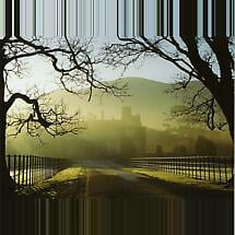 Muckross, Killarney Photographic Print Product Image