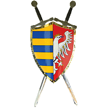 Personalized Irish Coat of Arms Duke Battle Shield Product Image