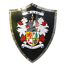 Personalized Irish Coat of Arms Duke Battle Shield with Full Mantle Product Image