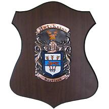 Personalized Irish Coat of Arms Cadet Shield Plaque Product Image