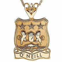 Alternate image for Irish Coat of Arms Jewelry Shield Necklace