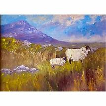 Irish Art | Atlantic Sheep Painting by Doreen Drennan Product Image