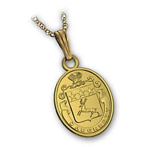 Irish Necklace - Sterling Silver Oval Family Crest Pendant with Chain Product Image