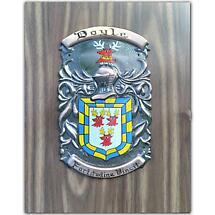 Personalized Single Irish Coat of Arms Castle Shield Plaque Product Image